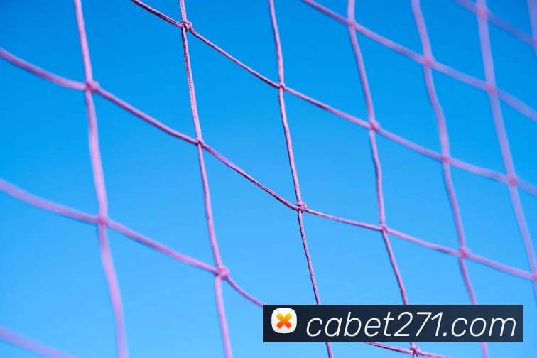 ca亚洲城全站App